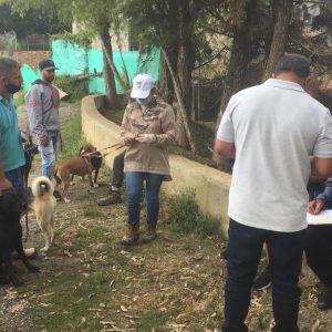 Misión Cumplida Vacunación Antirrábica en Toldas