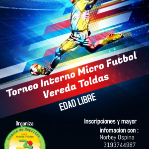 Torneo vacacional Toldas