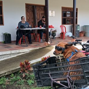 🐾 ¡ÉXITO TOTAL EN JORNADA DE VACUNACIÓN ANTIRRÁBICA! 🐾