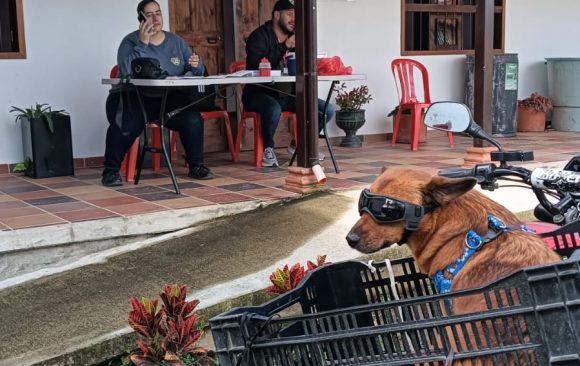 🐾 ¡ÉXITO TOTAL EN JORNADA DE VACUNACIÓN ANTIRRÁBICA! 🐾 🐾 ¡ÉXITO TOTAL EN JORNADA DE VACUNACIÓN ANTIRRÁBICA! 🐾