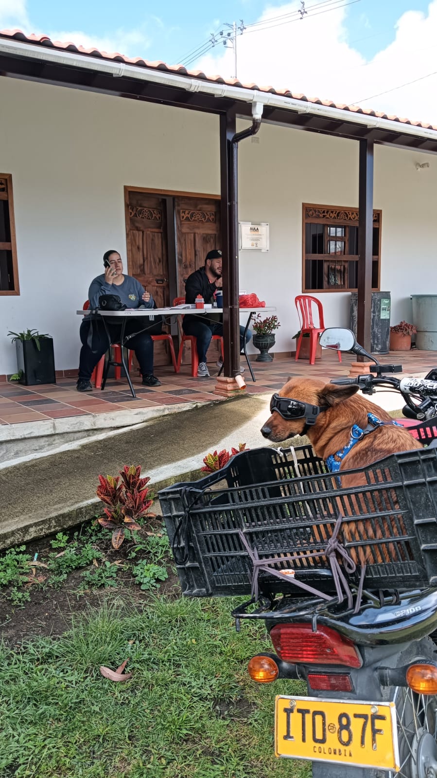🐾 ¡ÉXITO TOTAL EN JORNADA DE VACUNACIÓN ANTIRRÁBICA! 🐾 🐾 ¡ÉXITO TOTAL EN JORNADA DE VACUNACIÓN ANTIRRÁBICA! 🐾