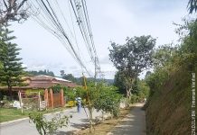 Convite Comunitario en nuestro Territorio